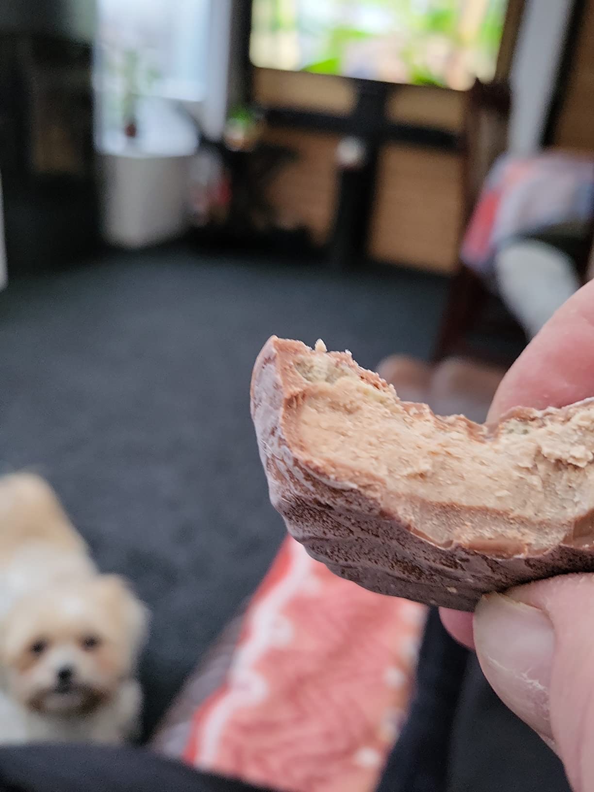 Reber Pasteten Sahne-Nougat Schokolade 342g 9 Stück Alpenmilch